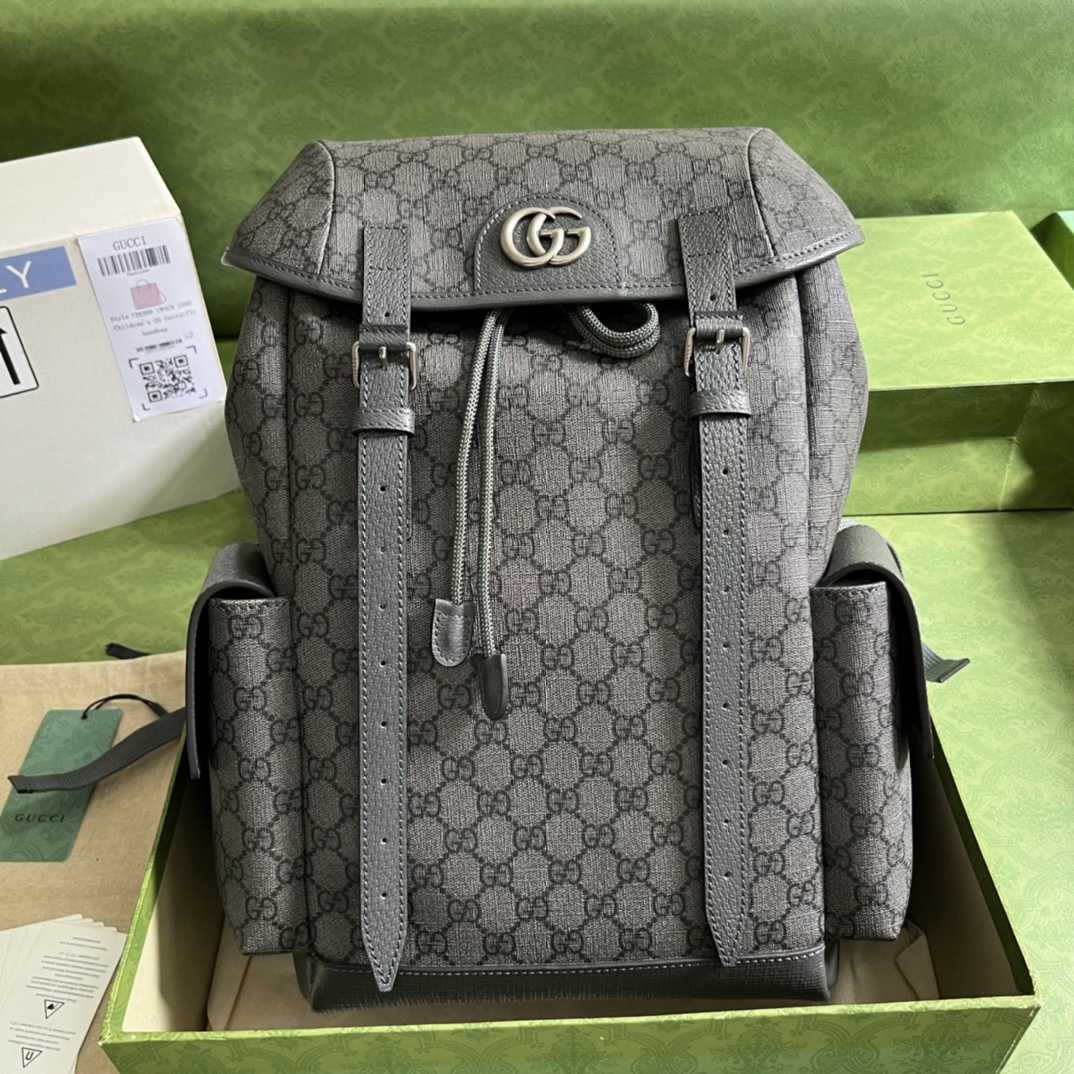 Gucci Ophidia GG Medium Backpack(24-40-16cm) - DesignerGu