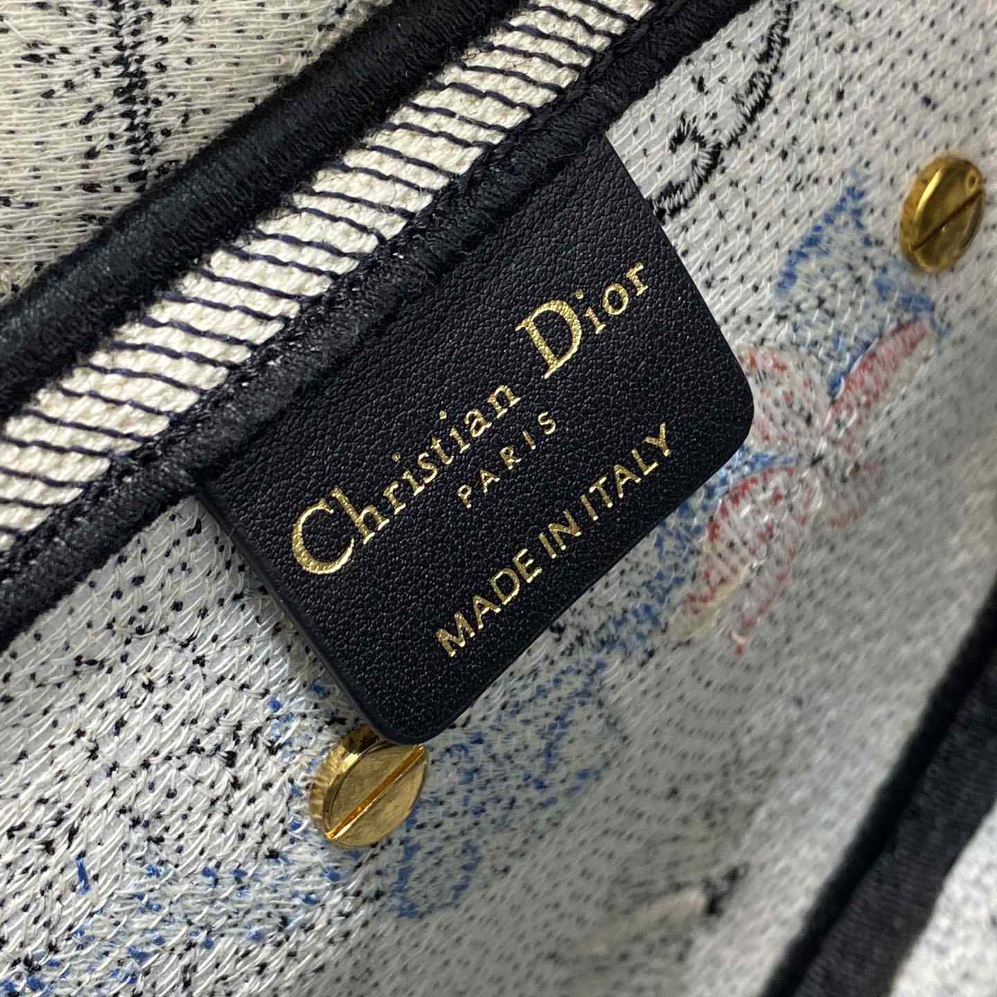 Dior Saddle Bag  - 