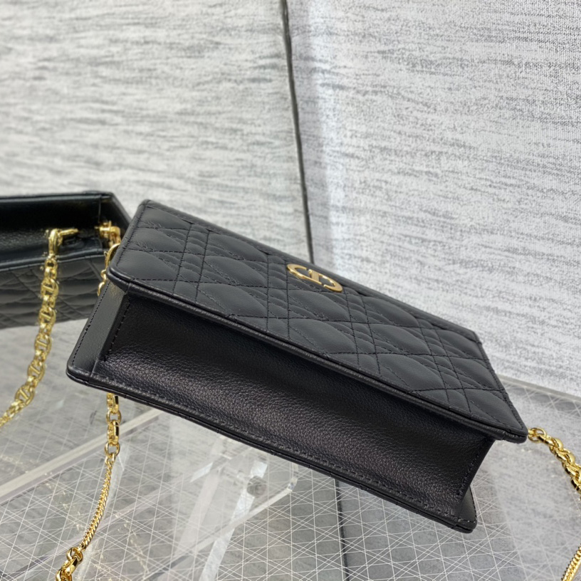 Dior Caro Zipped Pouch With Chain  - 