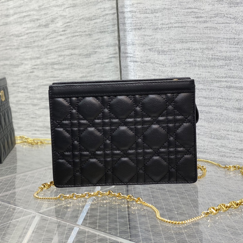 Dior Caro Zipped Pouch With Chain  - 