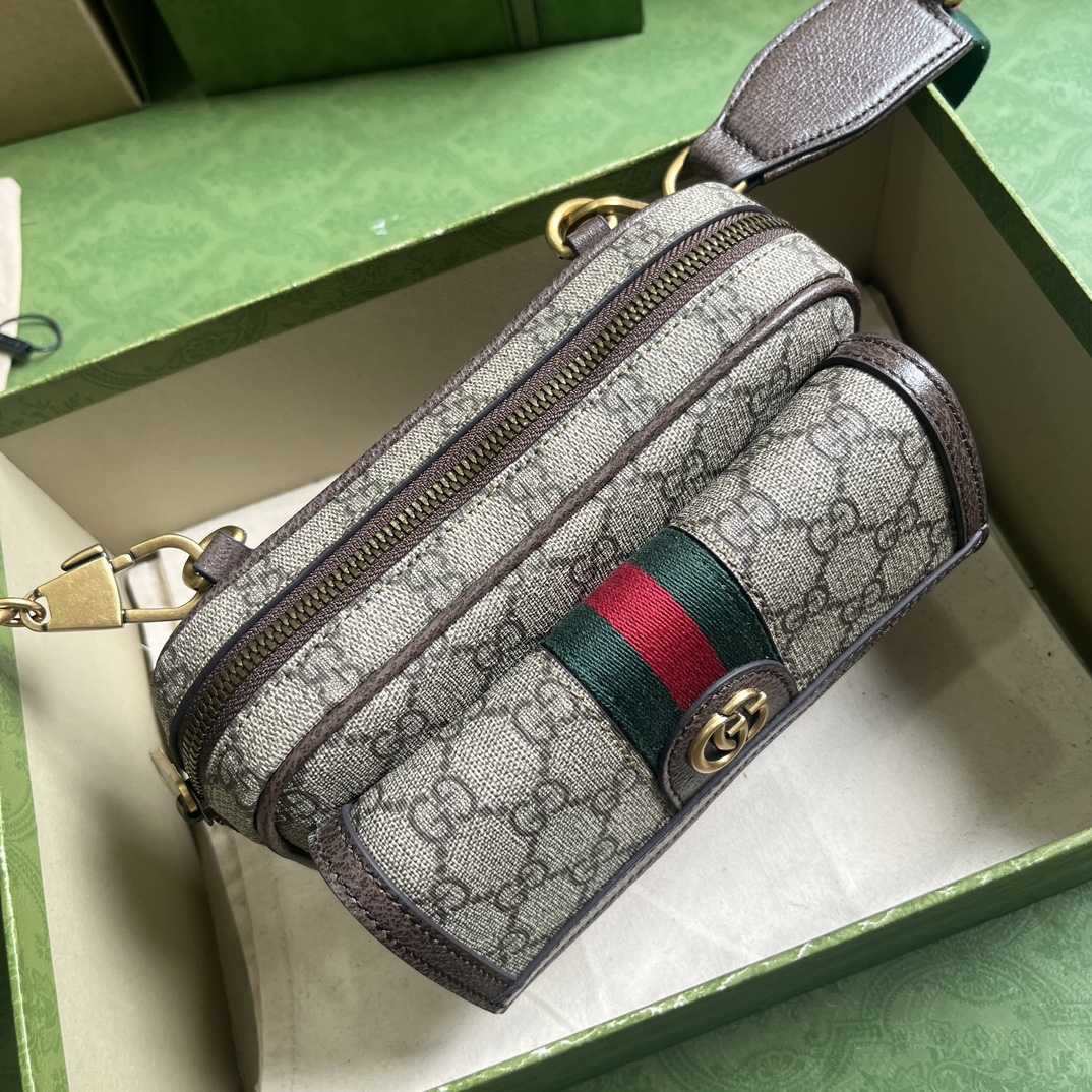 Gucci Ophidia GG Mini Bag(20-12.5-9cm)    - 