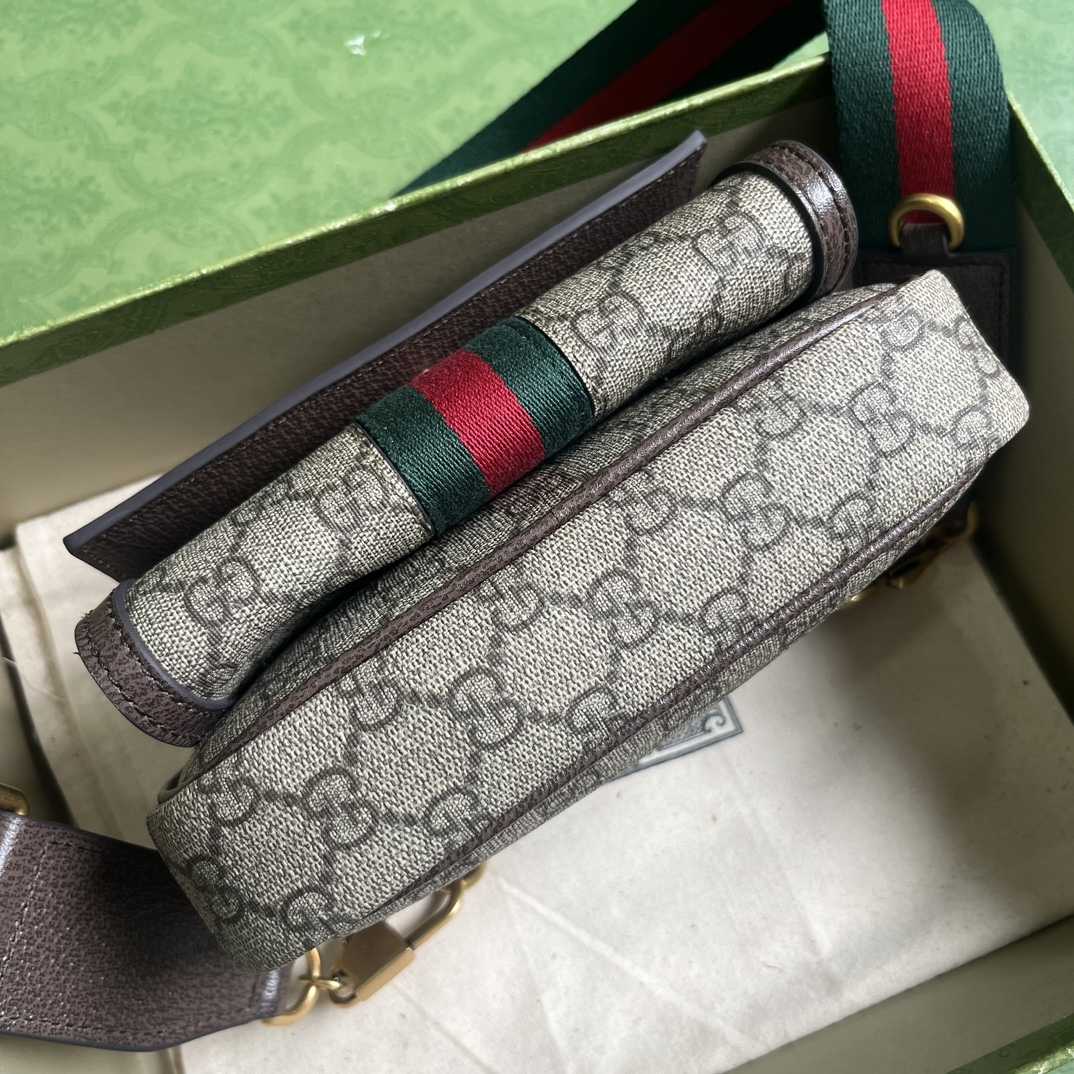 Gucci Ophidia GG Mini Bag(20-12.5-9cm)    - 