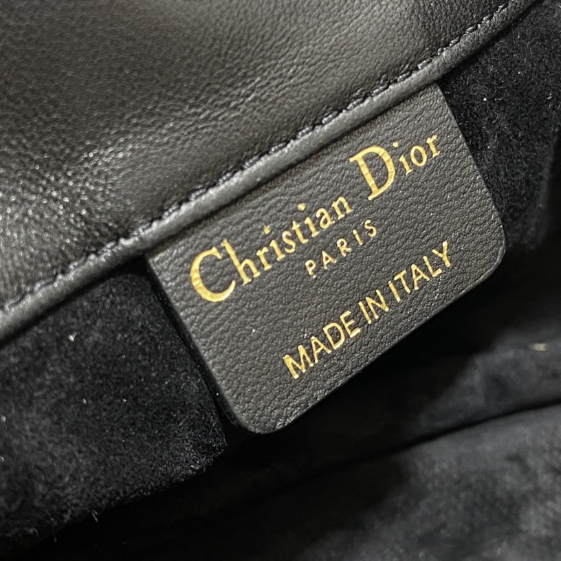 Dior Saddle Messenger Bag - 