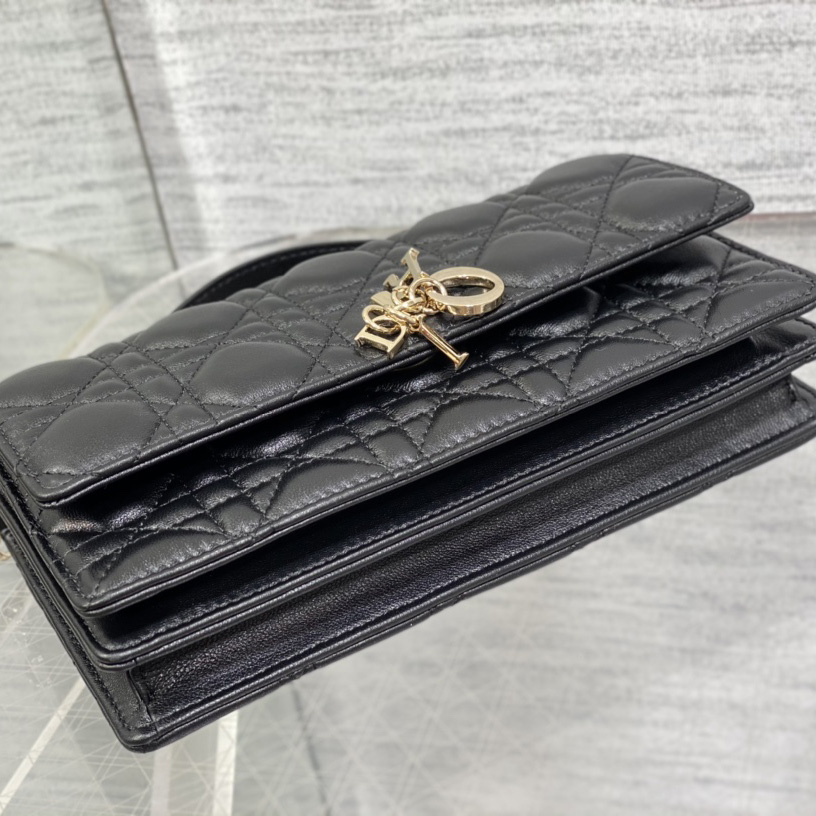 Dior Miss Dior Mini Bag - 