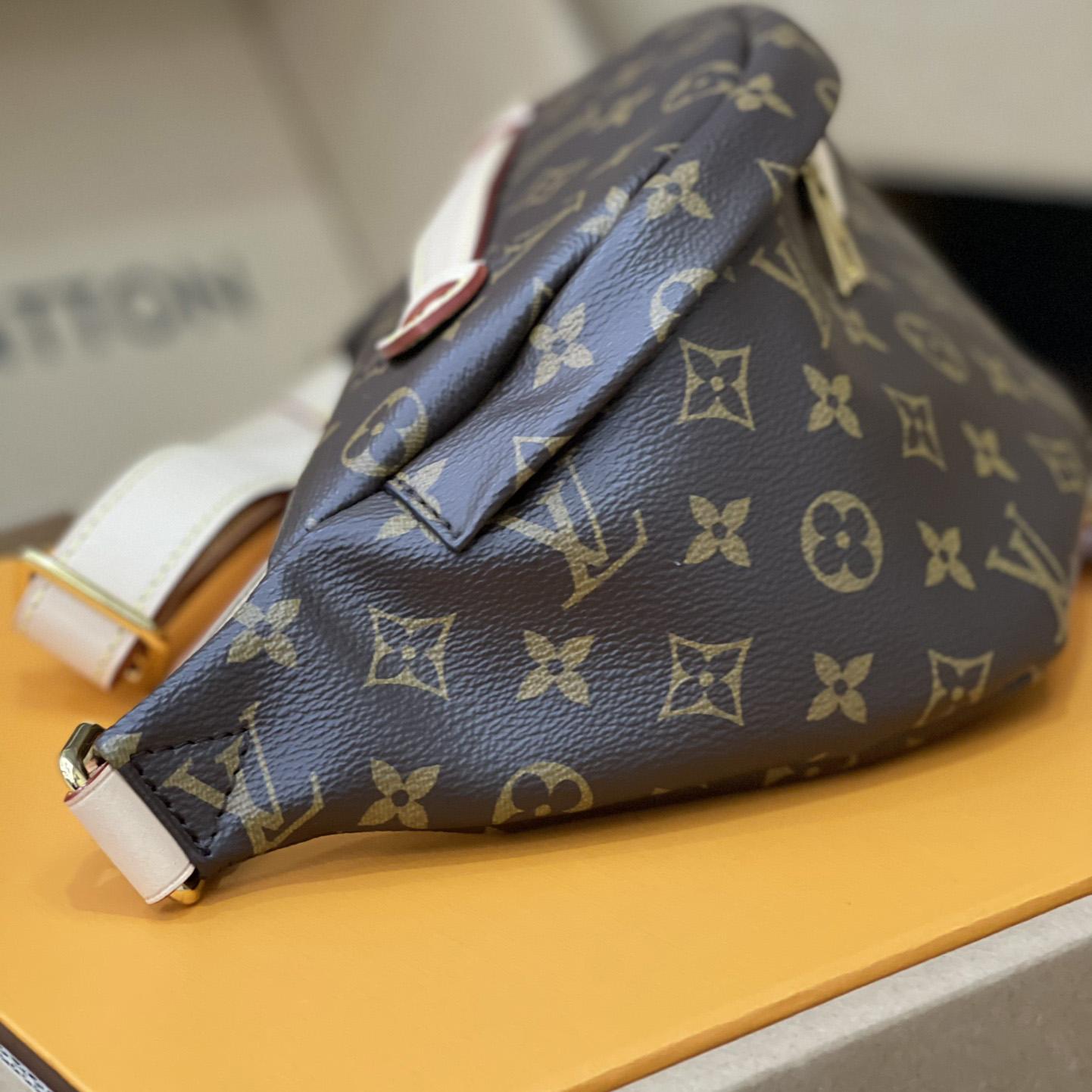Louis Vuitton Bumbag(37-14-13cm)      M43644 - 