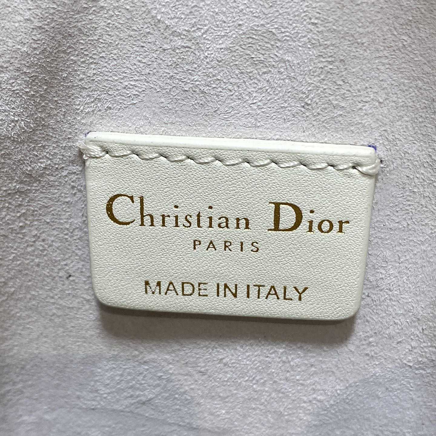 Dior Small C'est Dior Bag  - 