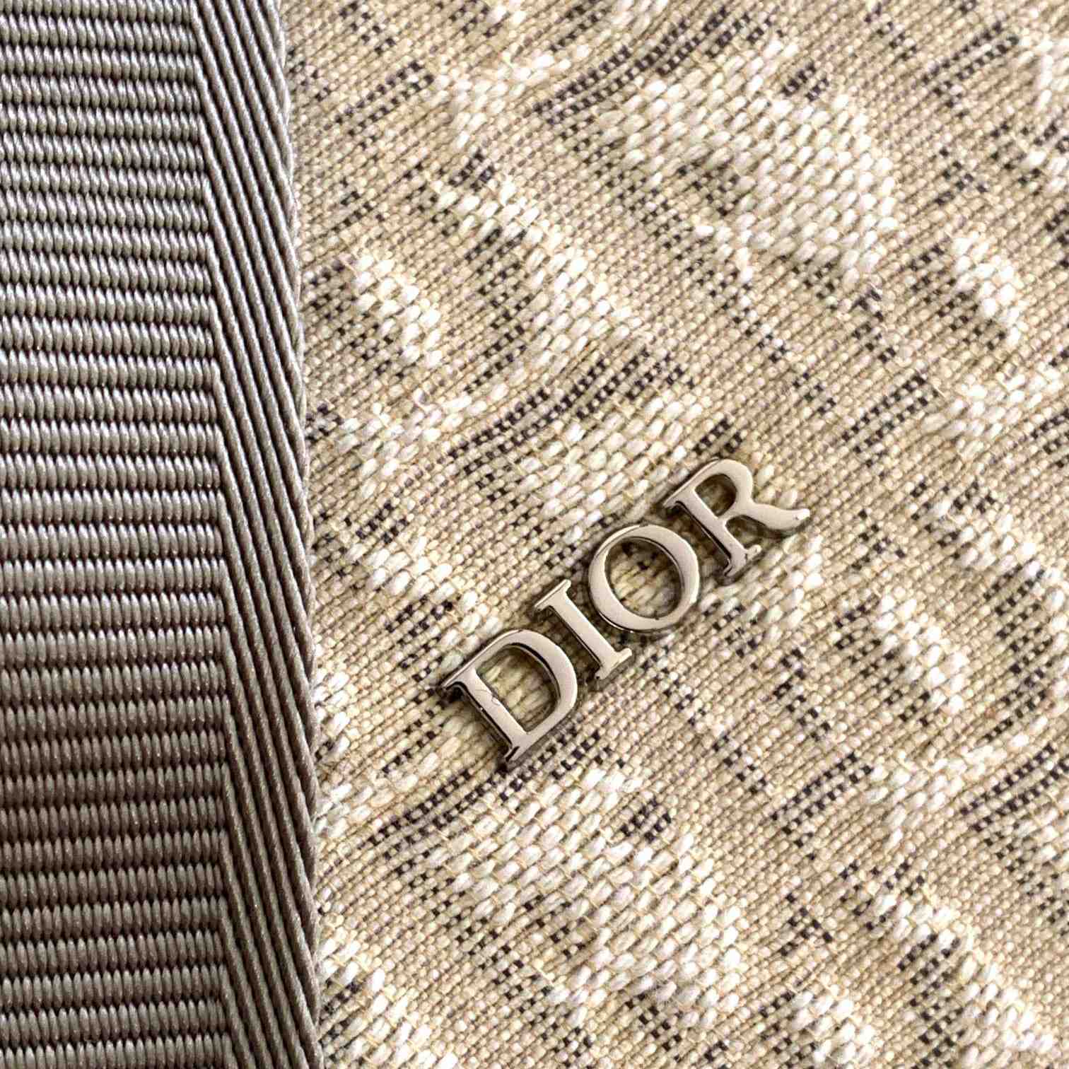 Dior Lingot 50 Bag - 
