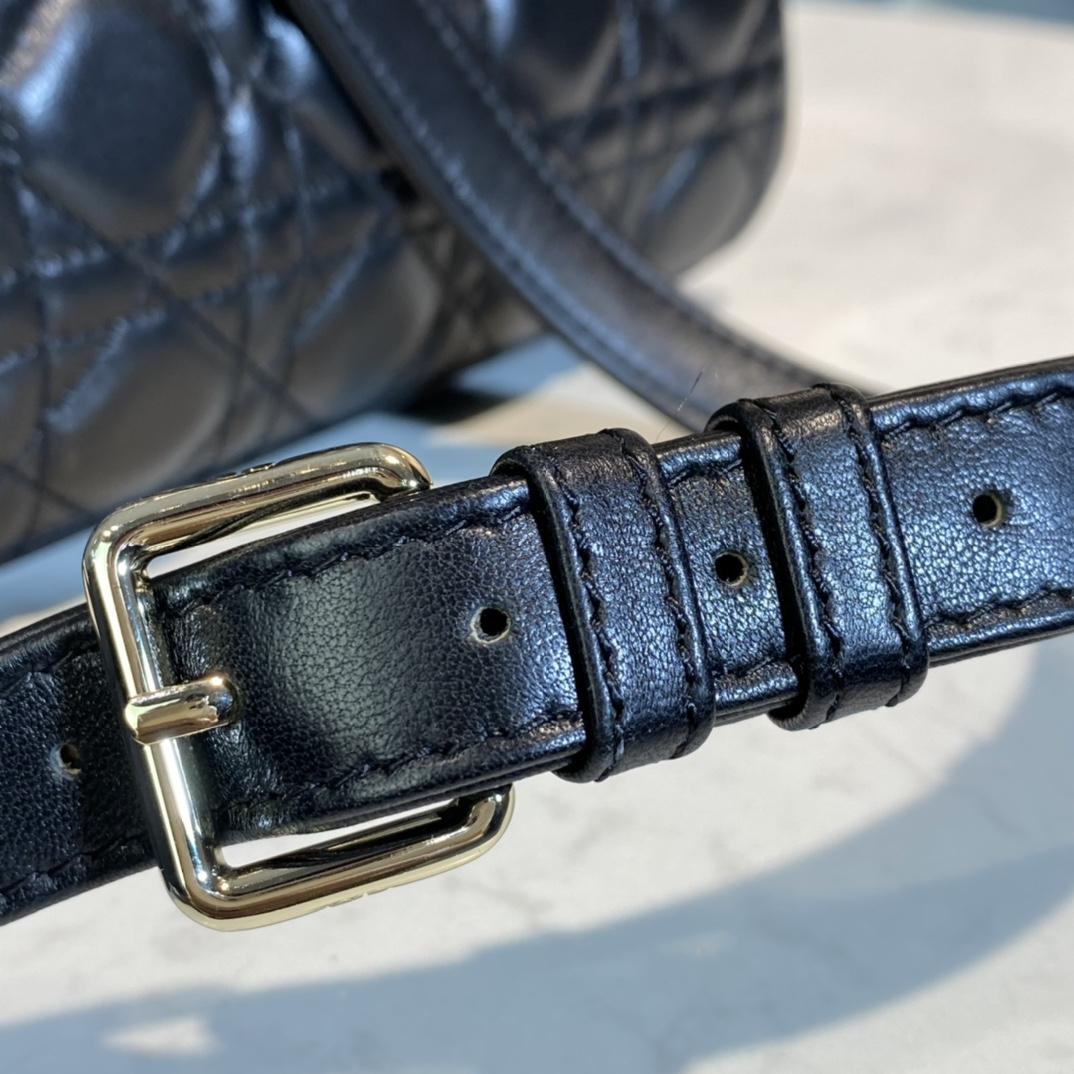 Dior Medium Lady Dior Bag - 