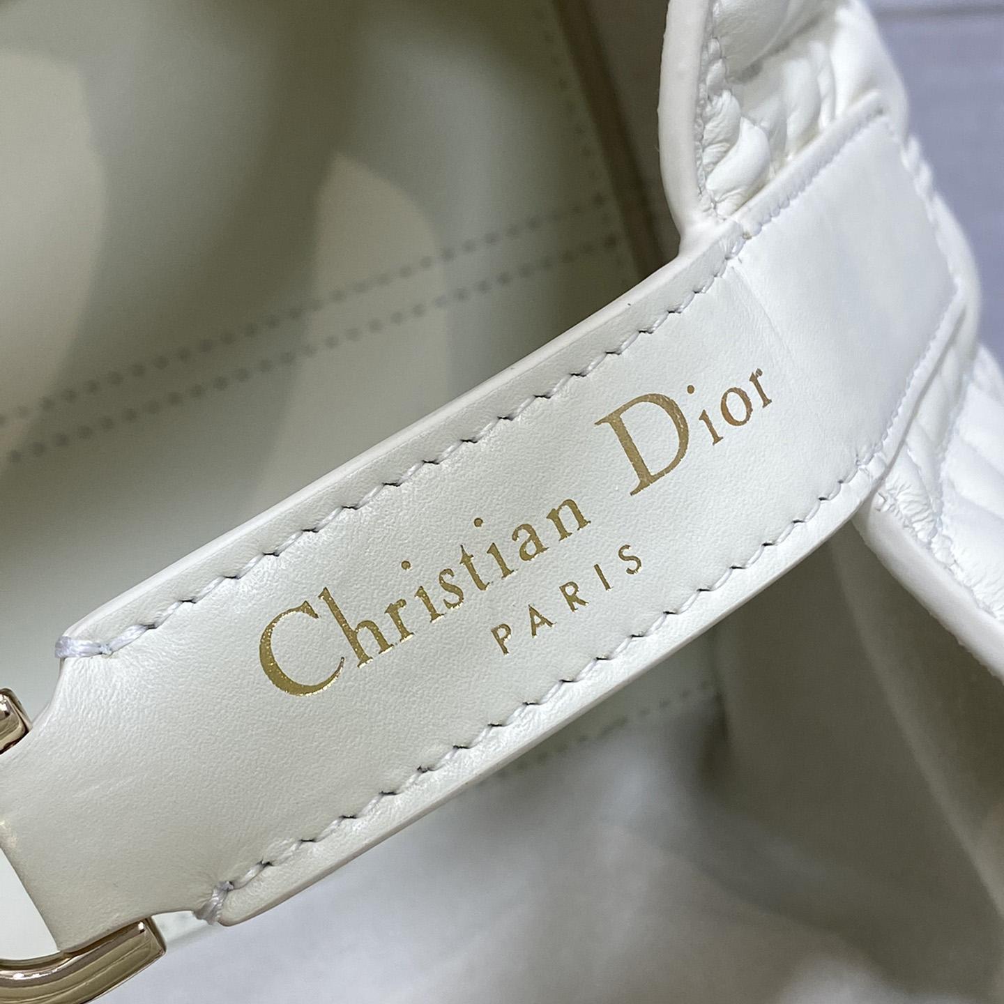 Dior Small Dior Toujours Bag - 