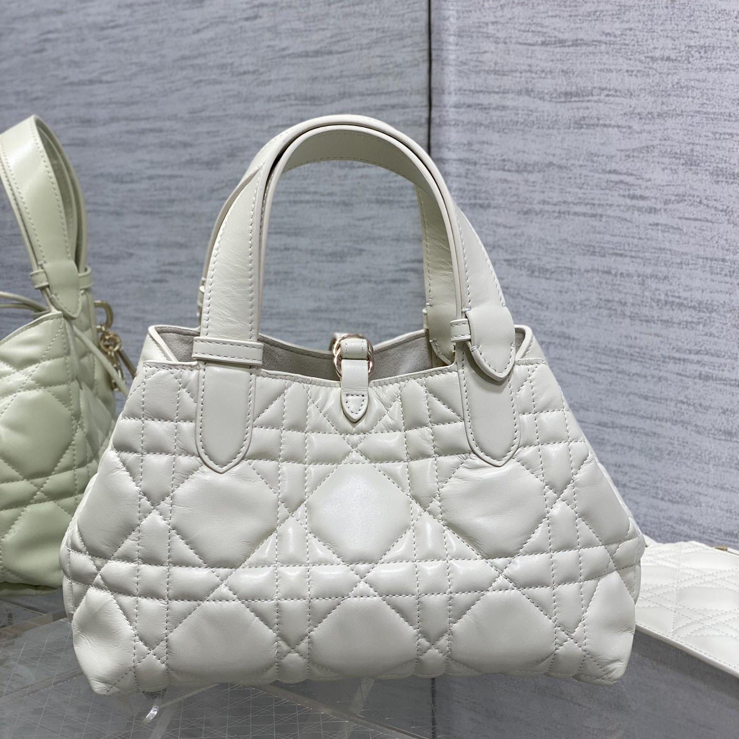 Dior Small Dior Toujours Bag - 