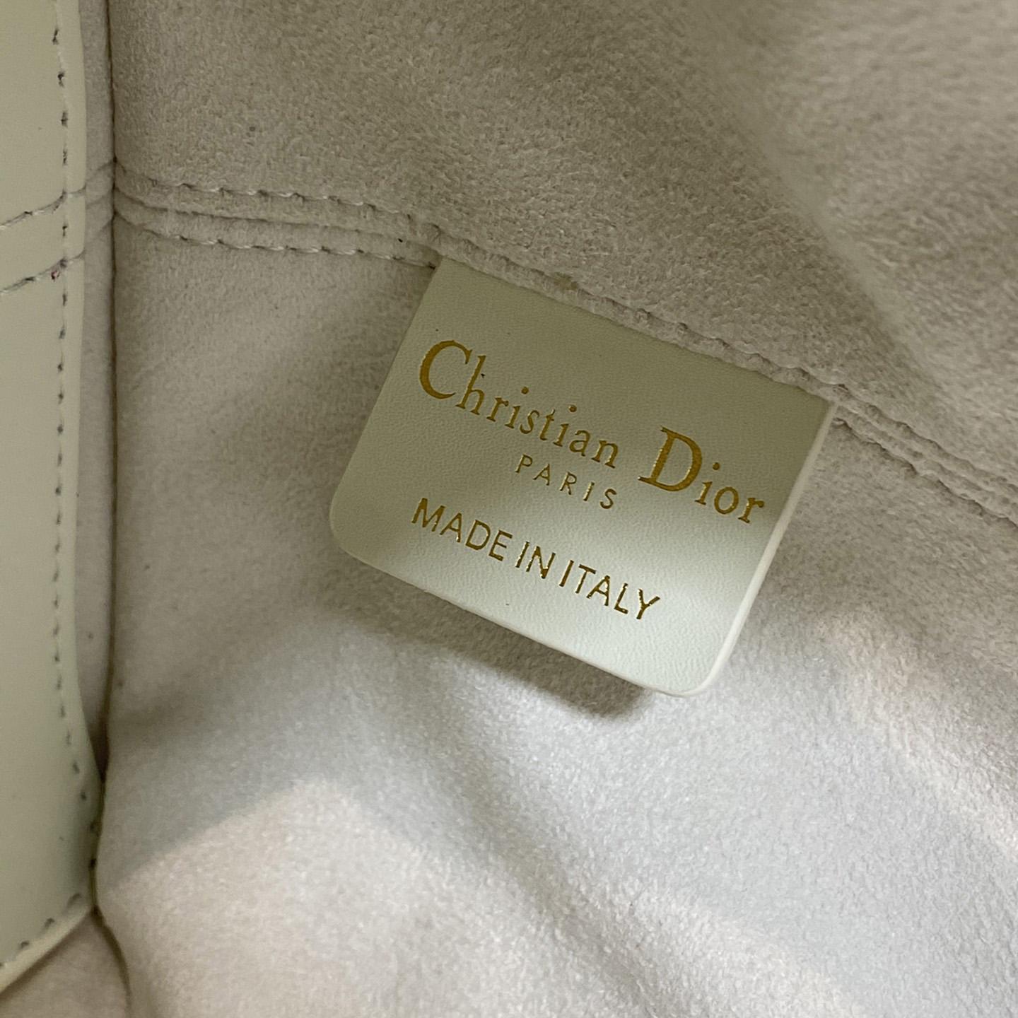 Dior Small Dior Toujours Bag - 