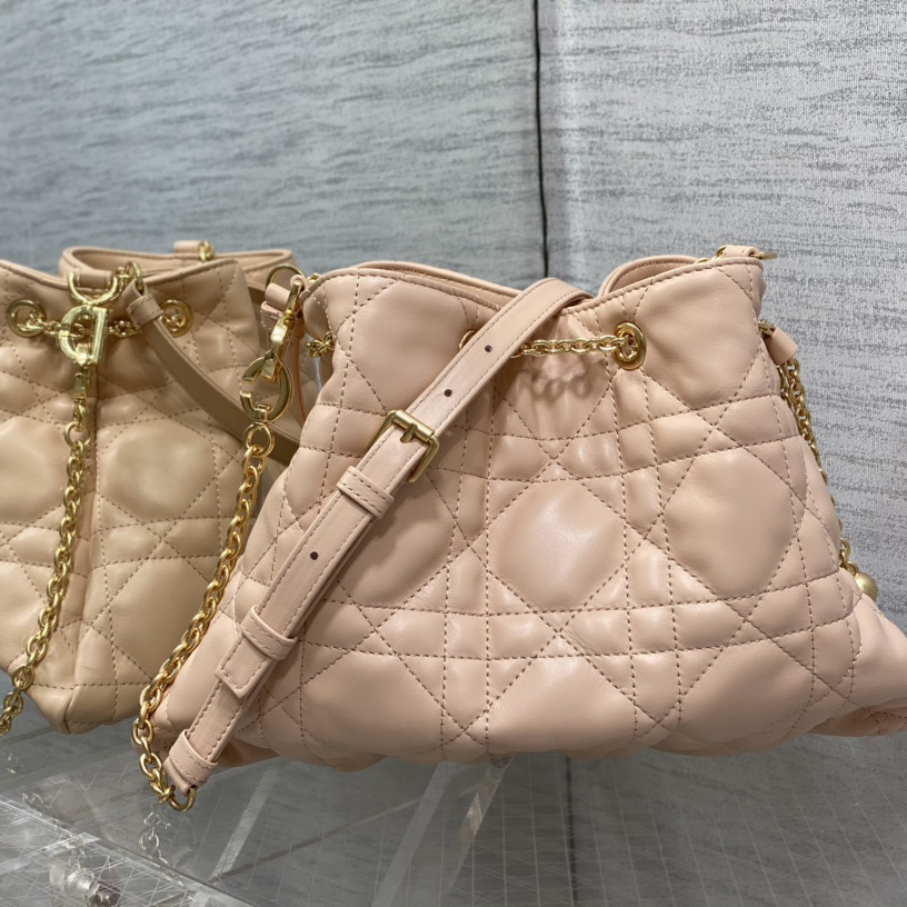 Dior Medium Dior Ammi Bag - 