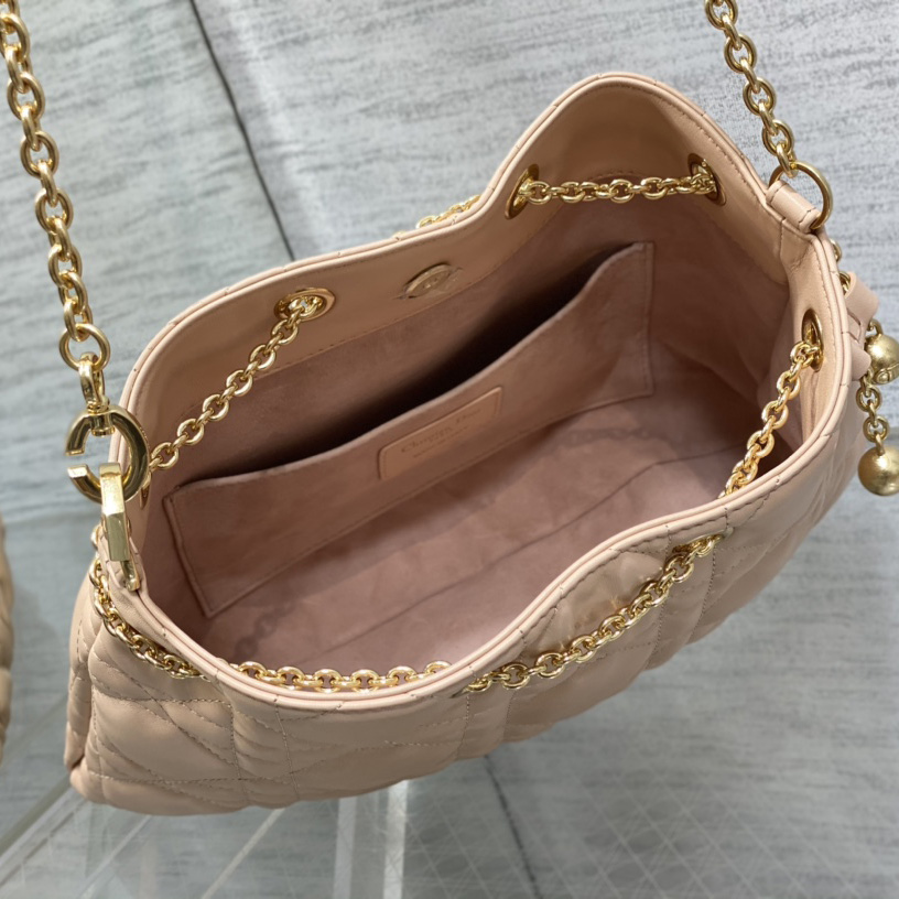 Dior Medium Dior Ammi Bag - 