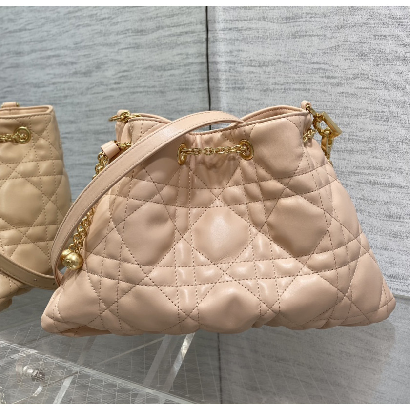 Dior Medium Dior Ammi Bag - 