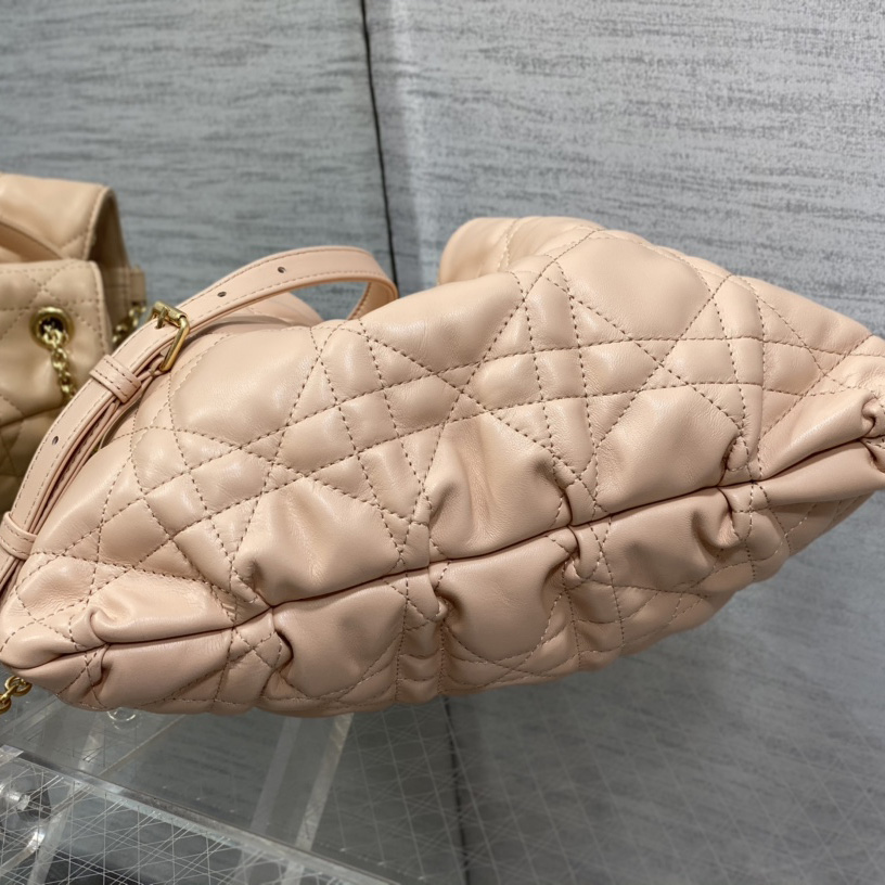 Dior Medium Dior Ammi Bag - 