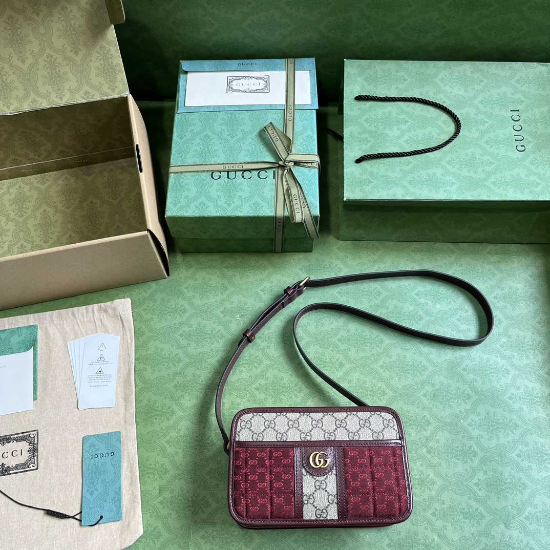 Gucci Mini GG Canvas Mini Shoulder Bag (21.5x 14x 7cm) - 