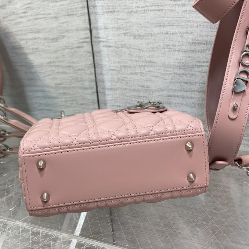 Dior Small Lady Dior Bag   20cm - 