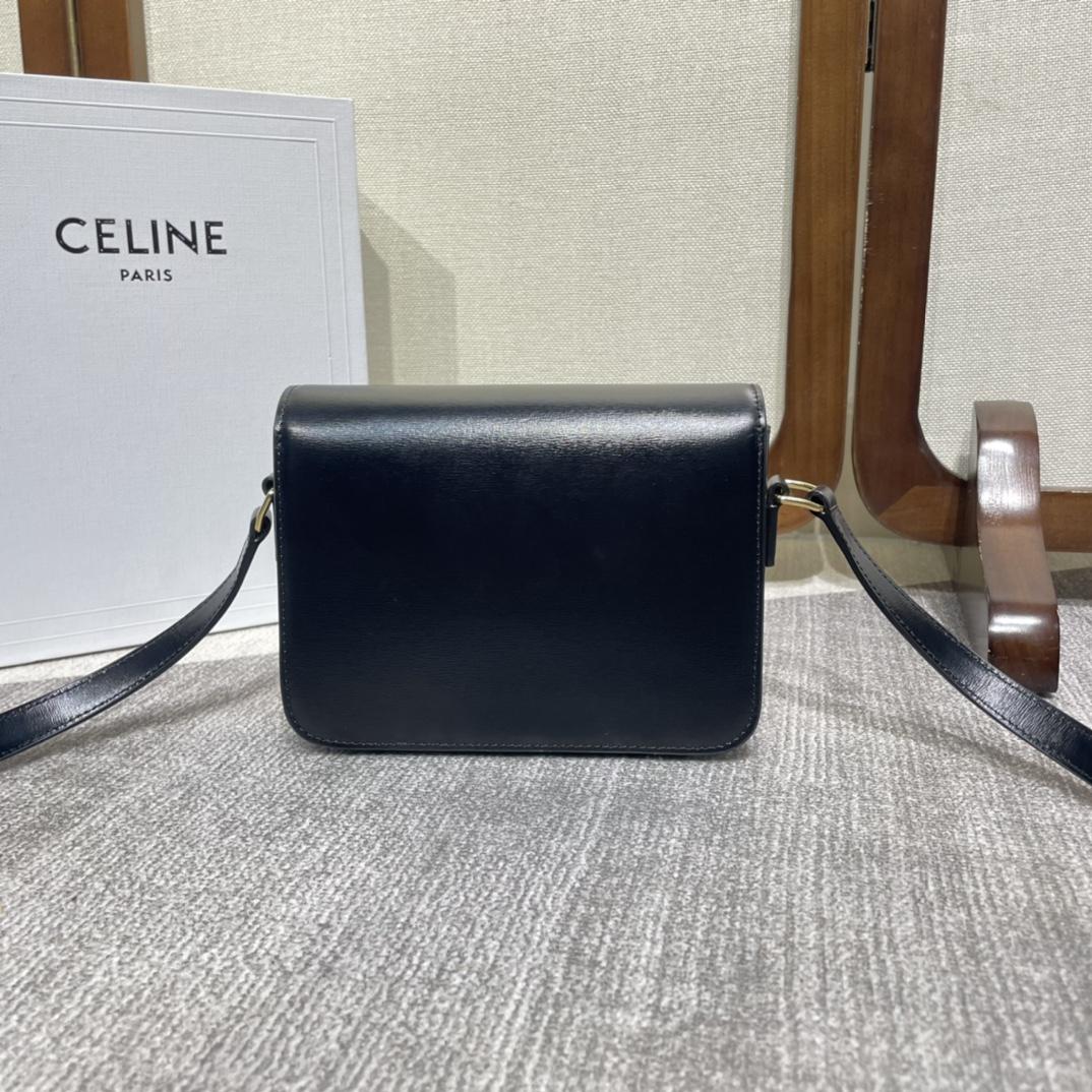 Celine Teen Triomphe Bag In Shiny Calfskin - 