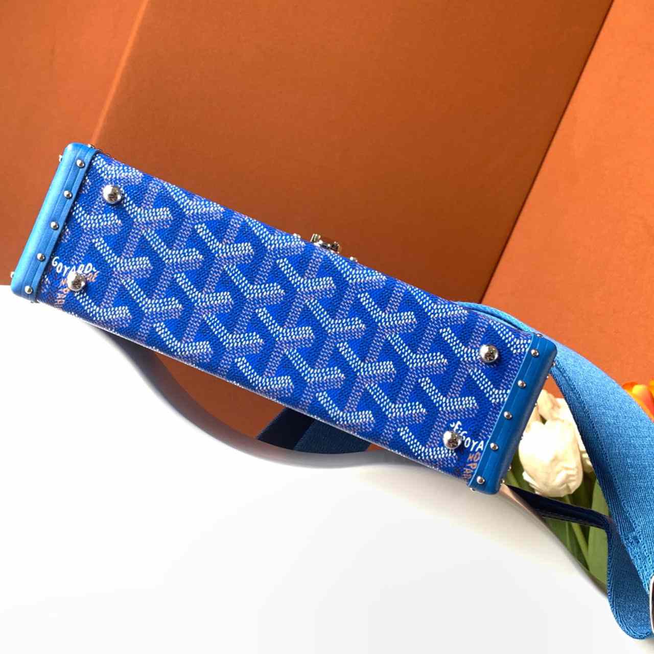 Goyard Cassette Trunk Bag  - 
