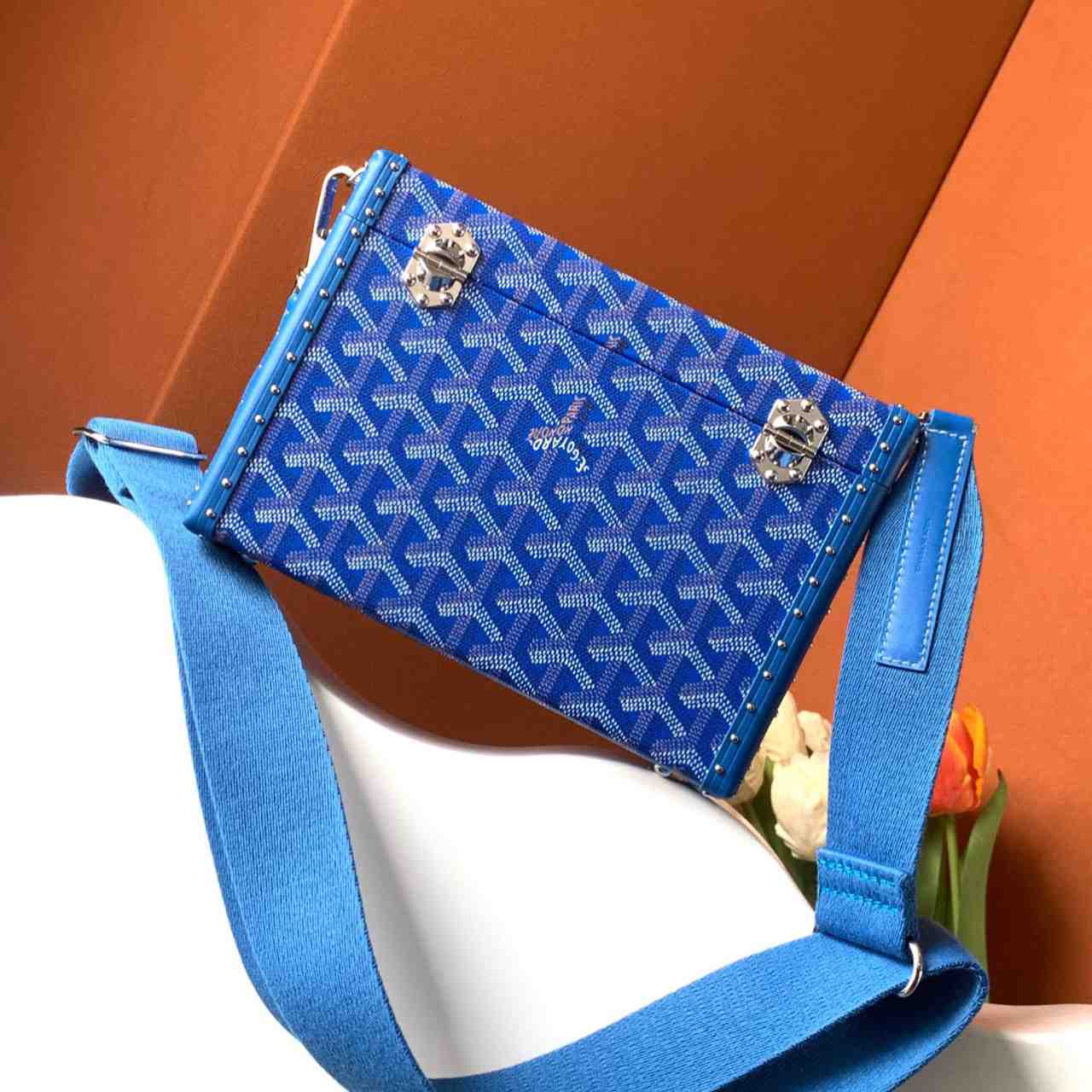 Goyard Cassette Trunk Bag  - 