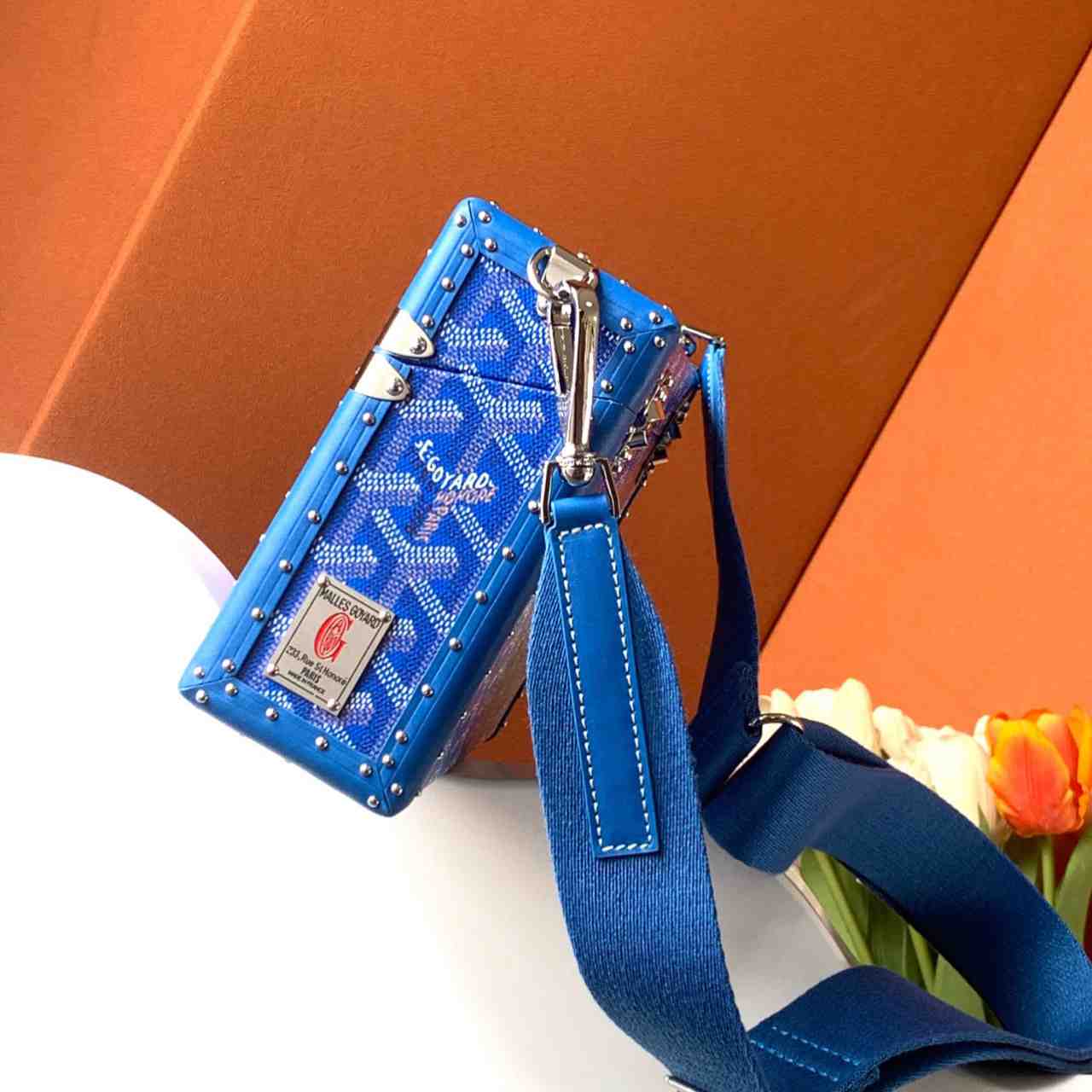 Goyard Cassette Trunk Bag  - 