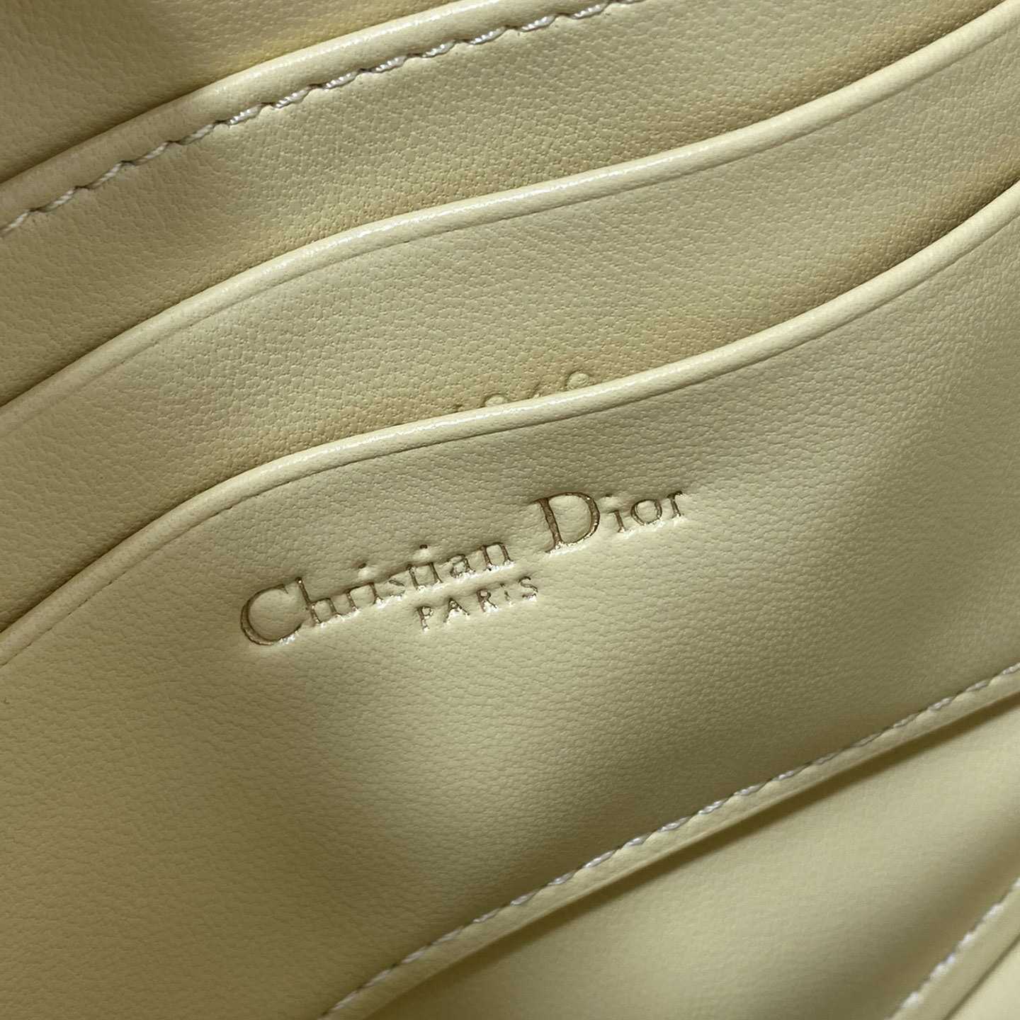 Dior Saddle Shoulder Pouch - 