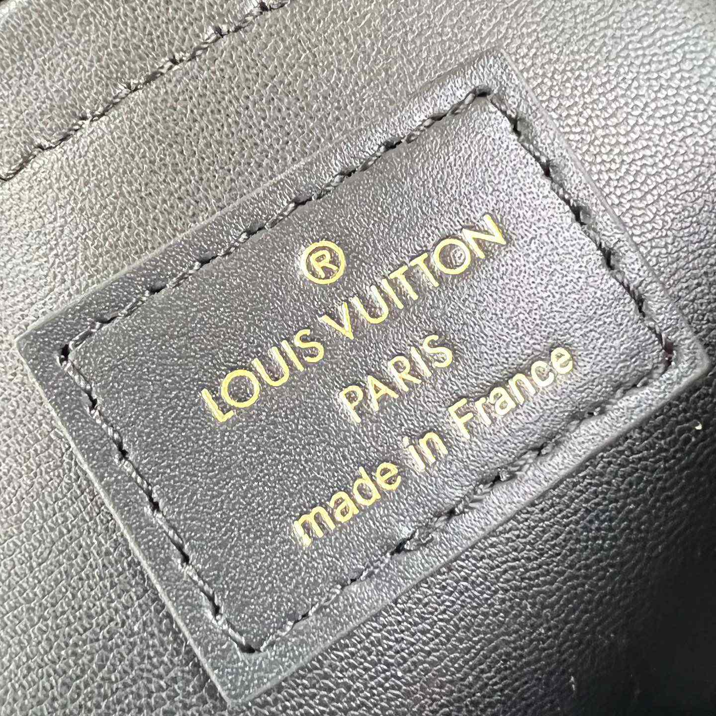 Louis Vuitton Speedy Bandouliere 20    M24261 - 