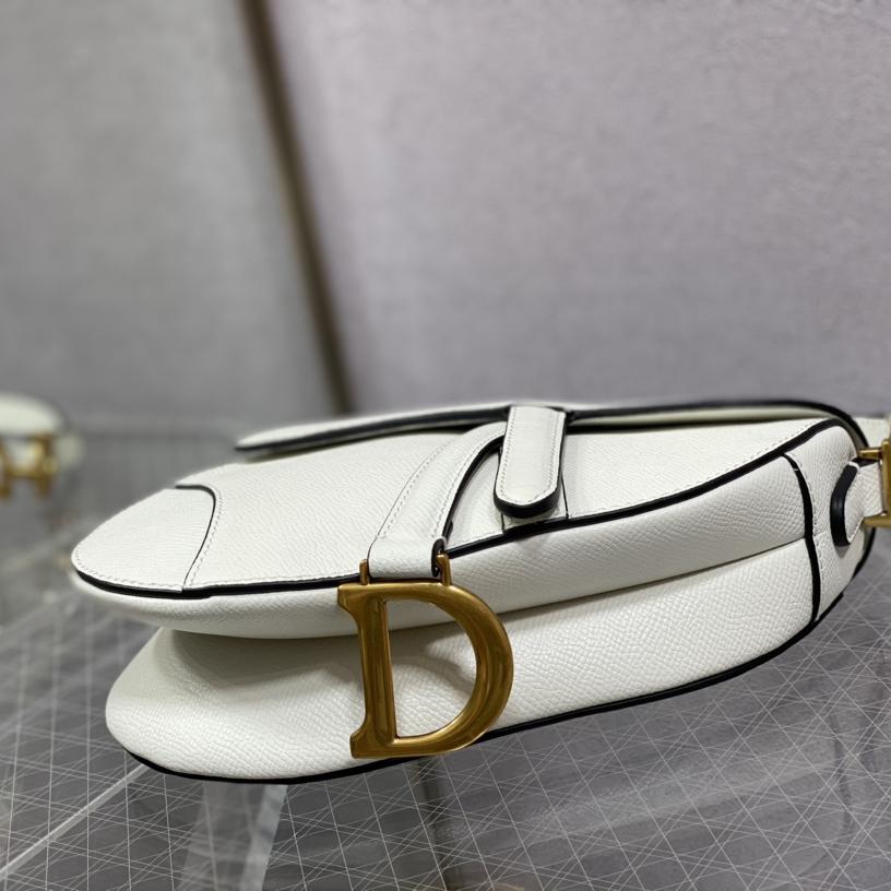 Dior Saddle Bag    19.5cm - 