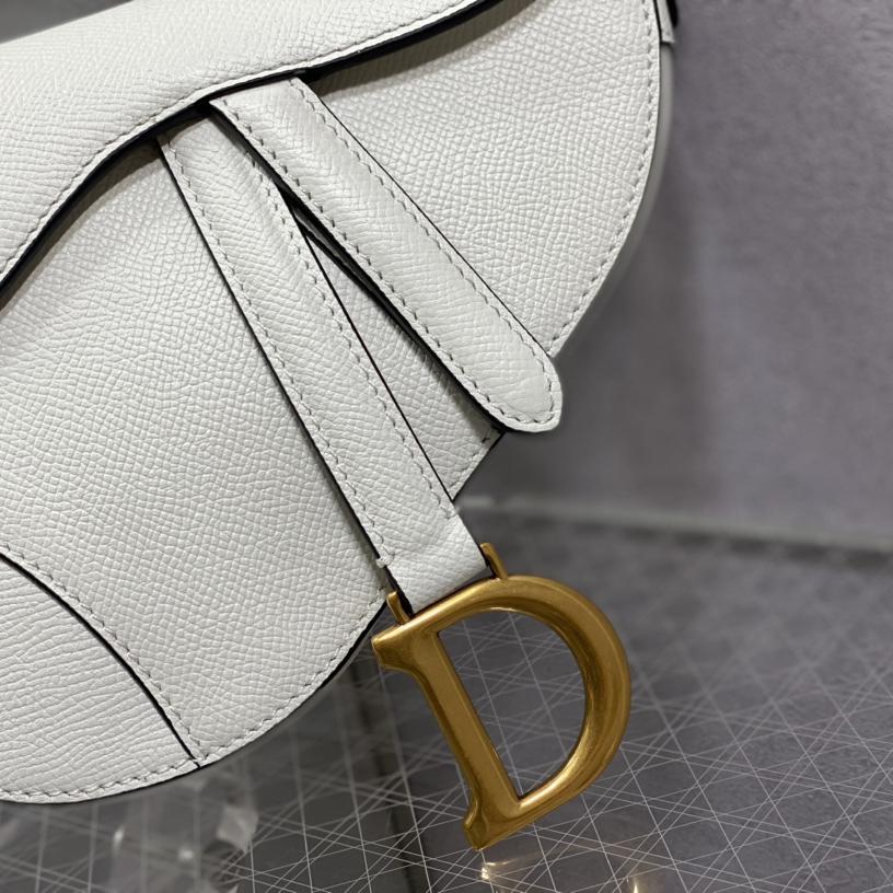Dior Saddle Bag    19.5cm - 