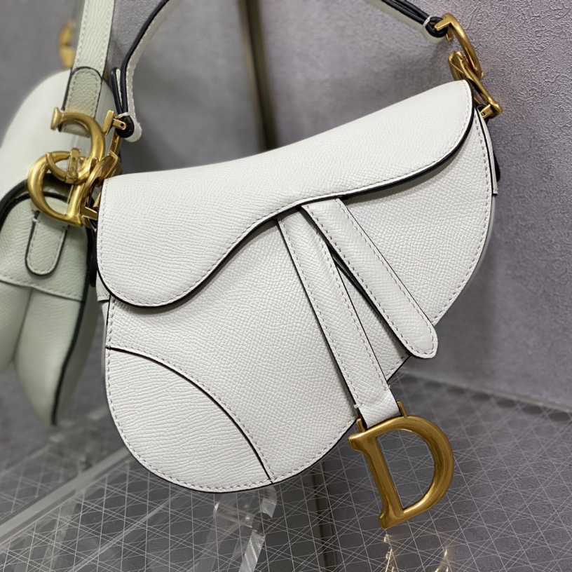 Dior Saddle Bag    19.5cm - 