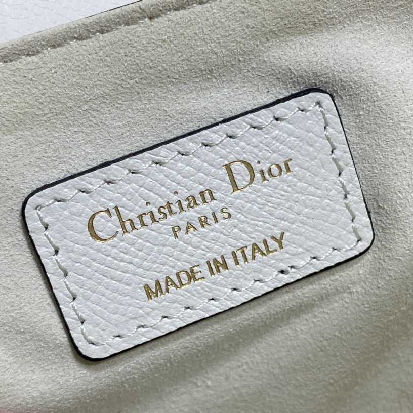 Dior Saddle Bag    19.5cm - 