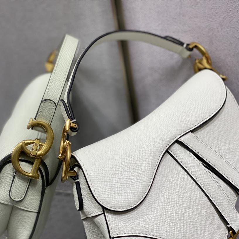 Dior Saddle Bag    19.5cm - 