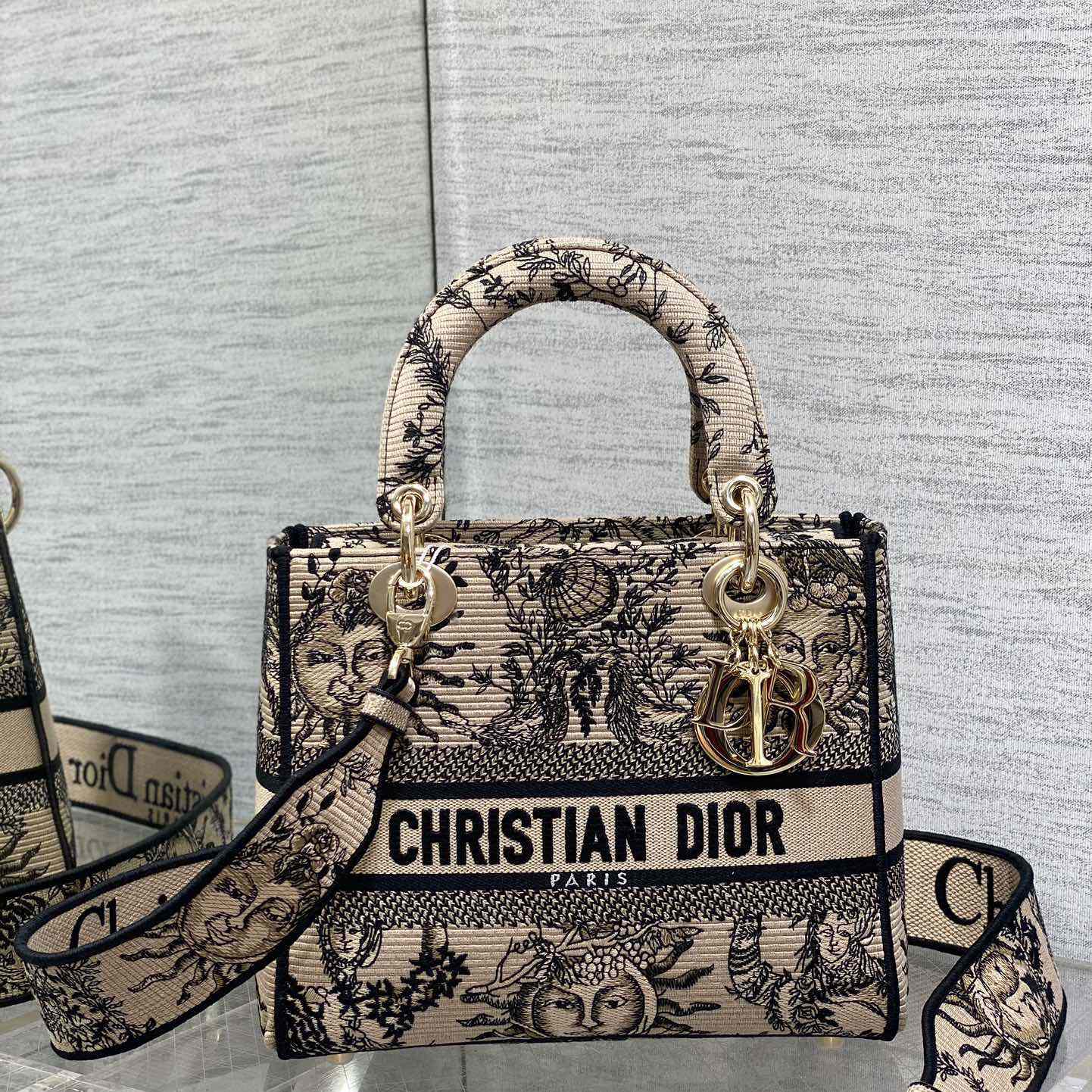Dior Medium Lady D-Lite Bag - 