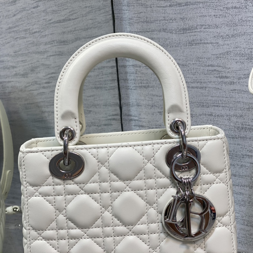 Dior Lady Dior Bag   20cm - 