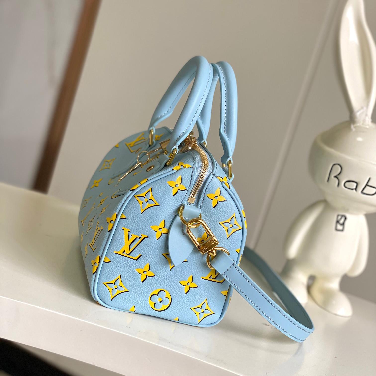 Louis Vuitton Speedy Bandoulière 20   M25454 - 