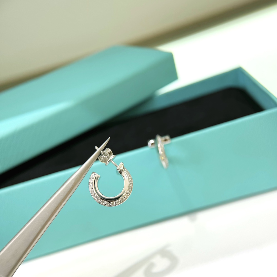 Tiffany & Co. White Gold Earrings - 
