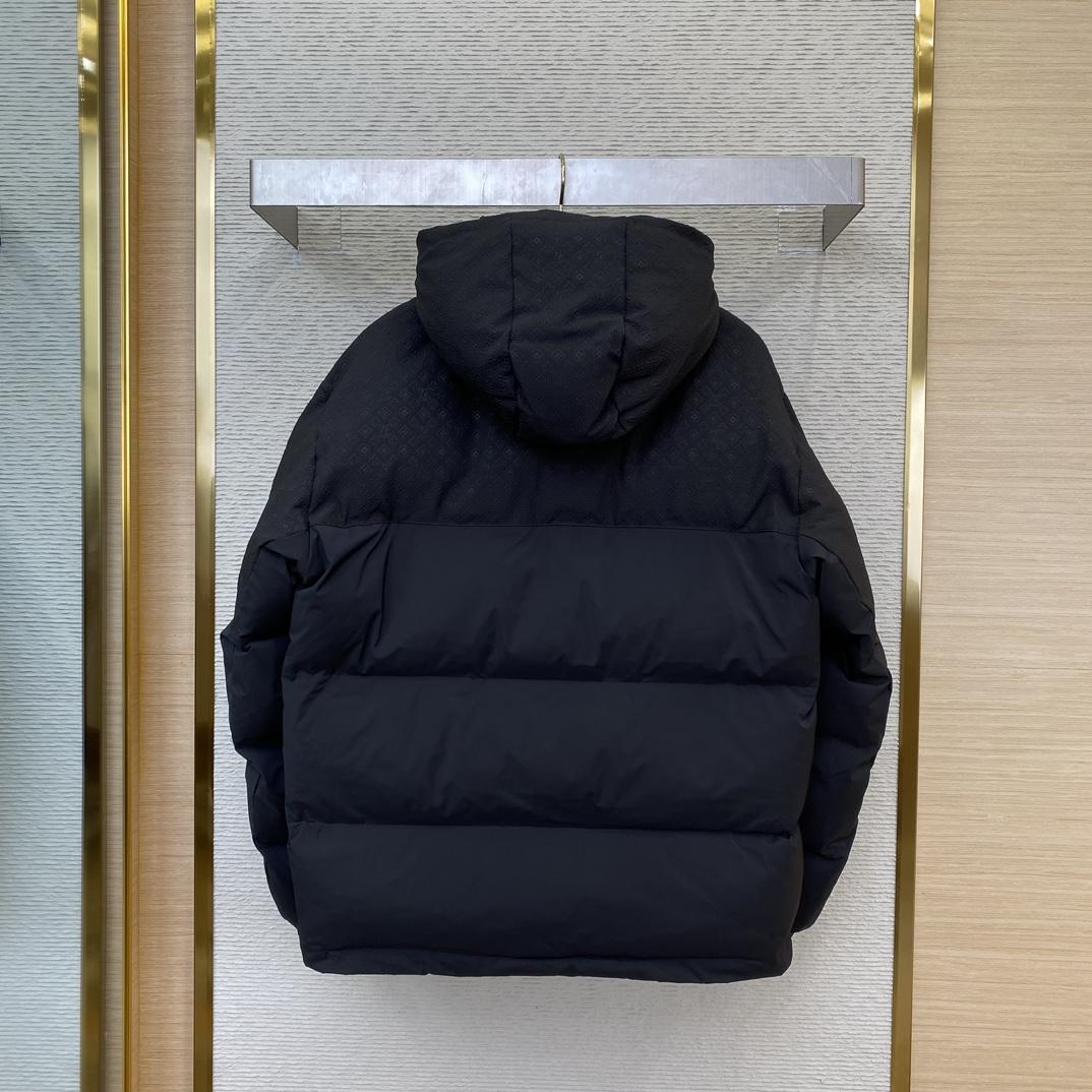 Louis Vuitton Down Blouson   1AFA37 - 