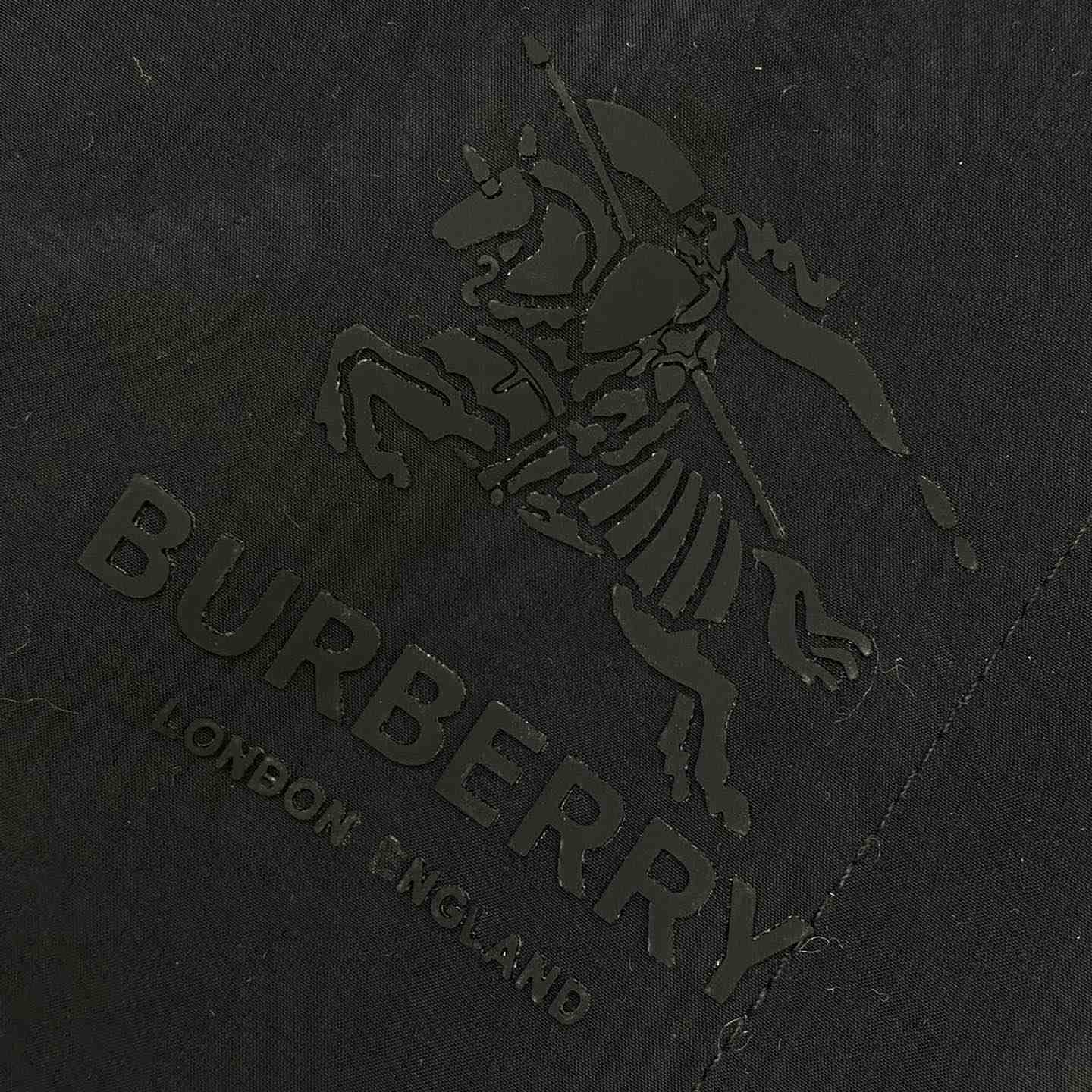 Burberry Jacket  - 