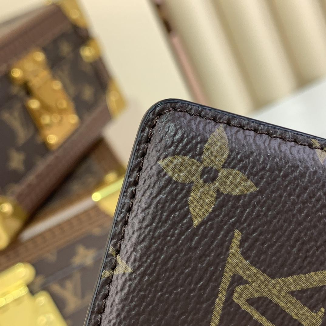 Louis Vuitton Porte-Cartes Magnet  M13185 - 