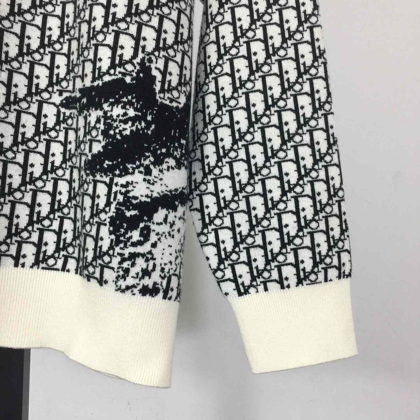 Dior Oblique Sweater In Wool - DesignerGu