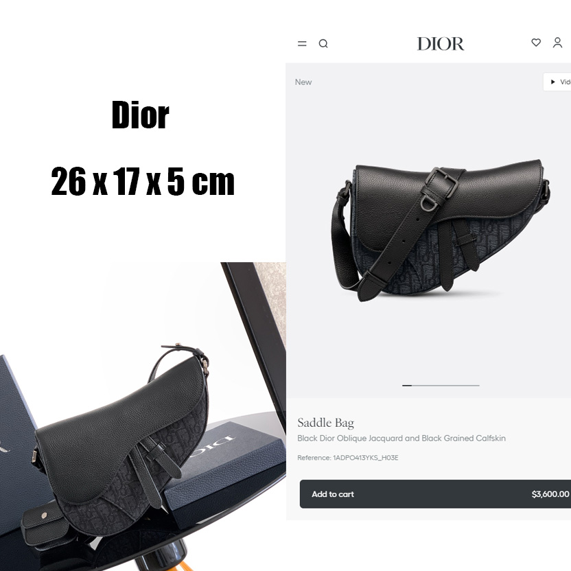 Dior Saddle Bag  - DesignerGu