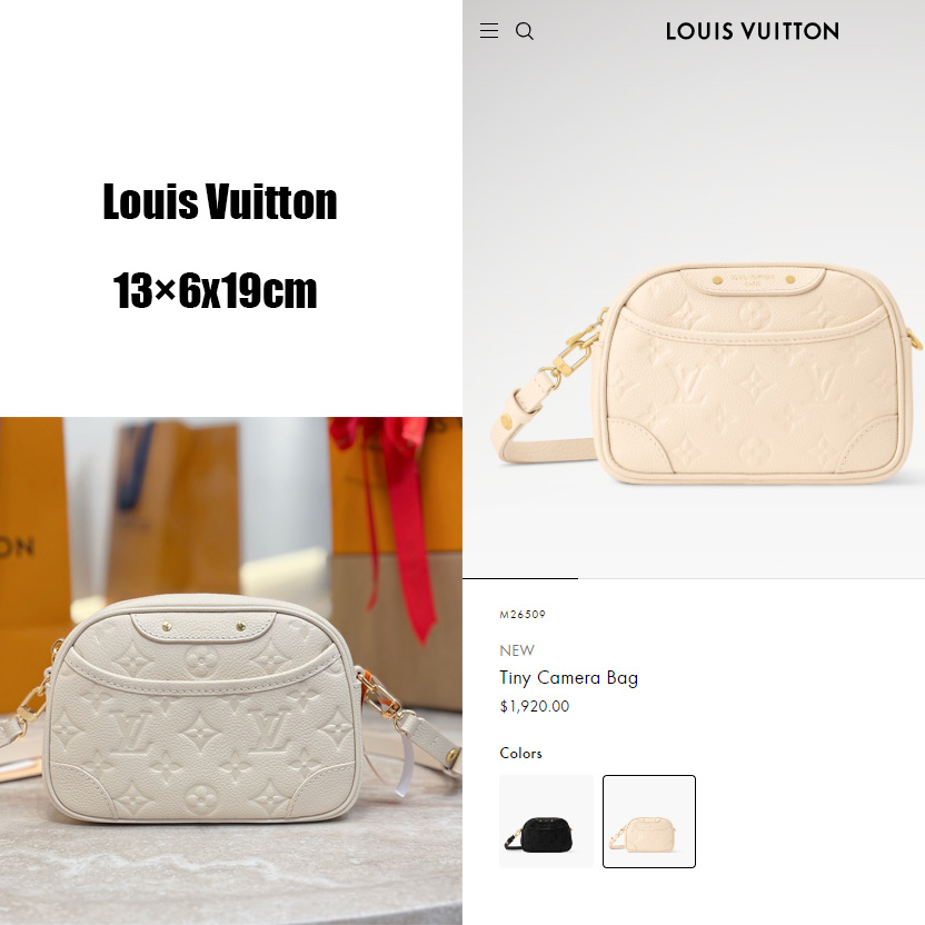 Louis Vuitton Tiny Camera Bag   M26509 - DesignerGu