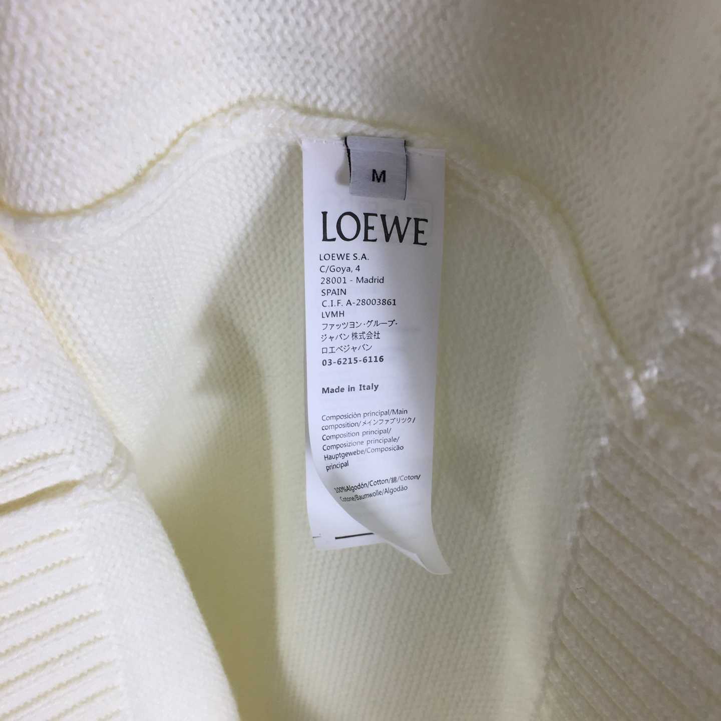 Loewe Sweater In Wool - DesignerGu
