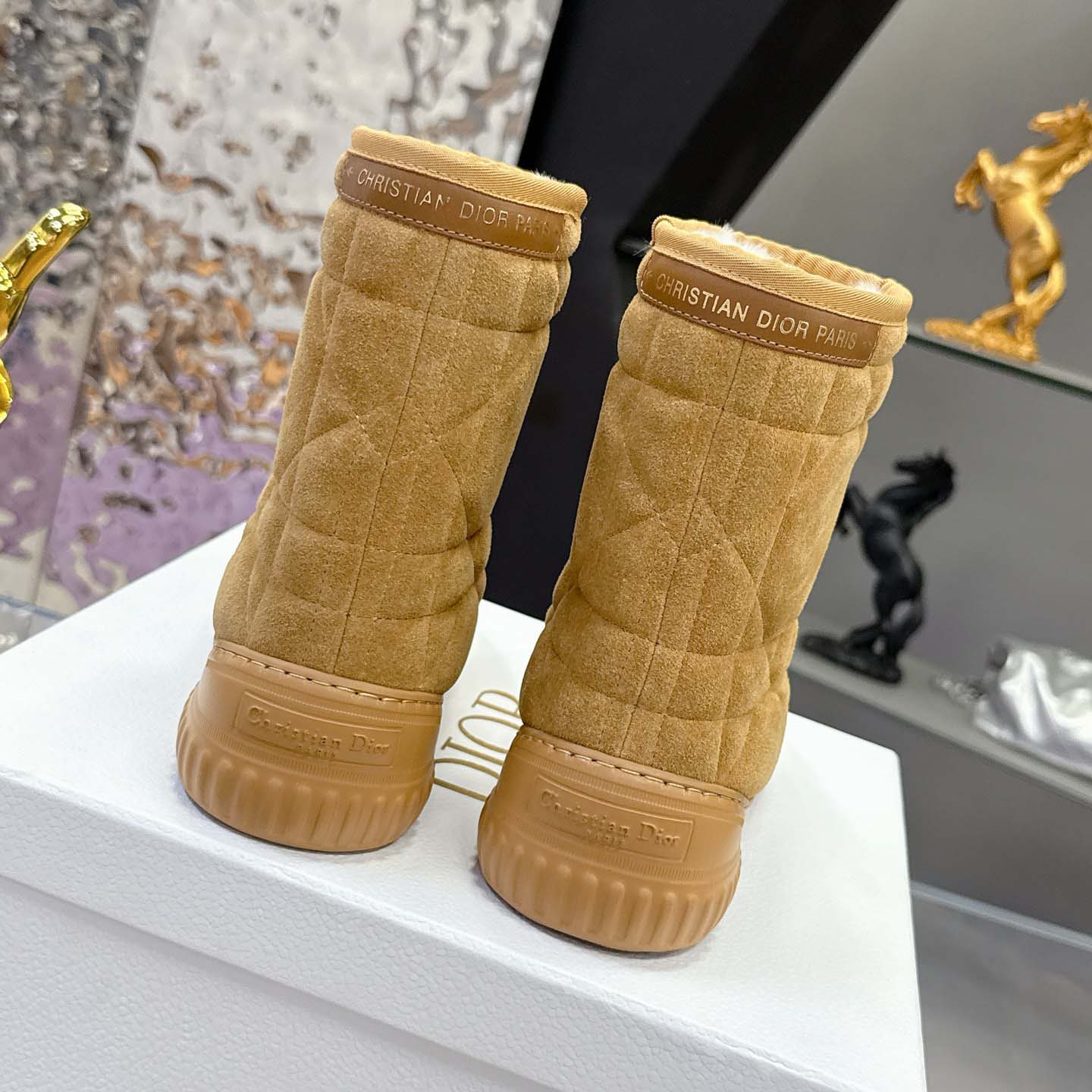 Dior Frost Ankle Boot  - DesignerGu