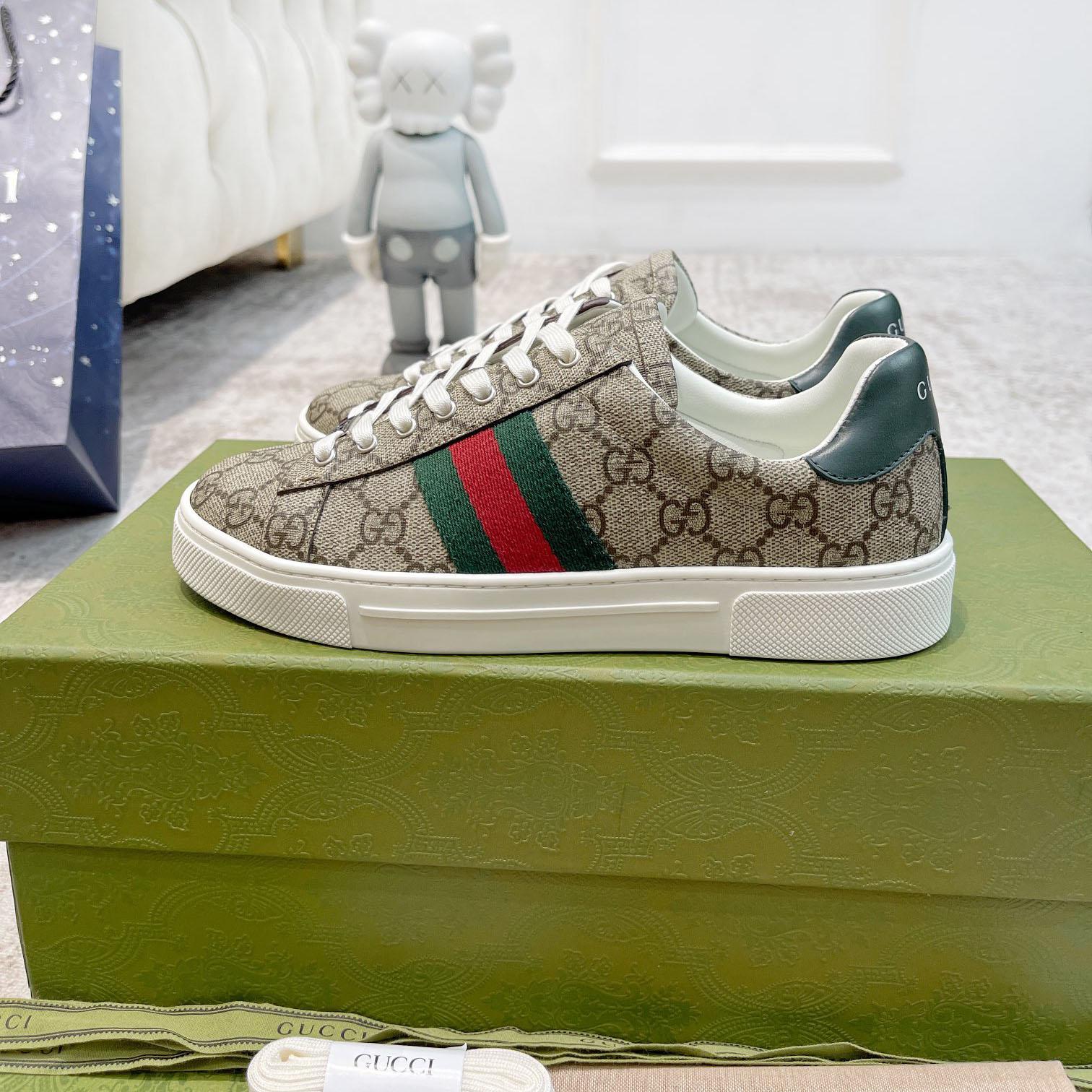 Gucci Ace Sneaker  With Web - DesignerGu