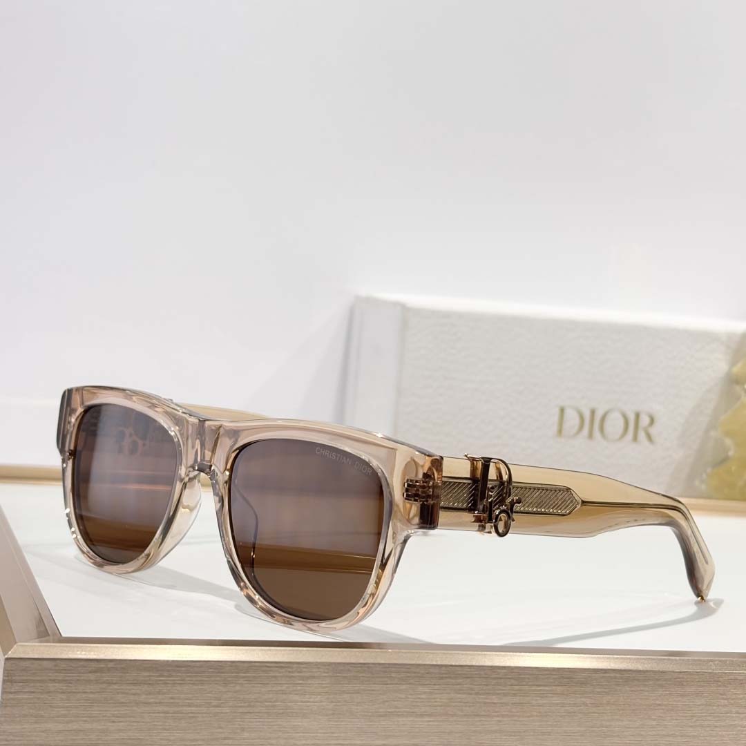 Dior DiorOblique S4I - DesignerGu