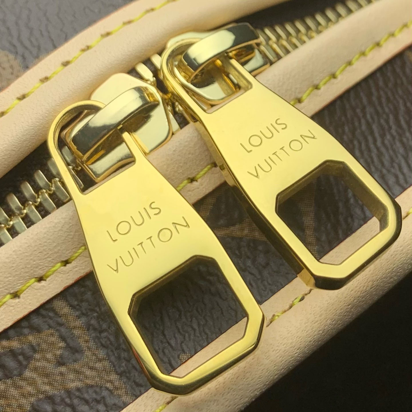 Louis Vuitton Dog Bag M45662 - DesignerGu