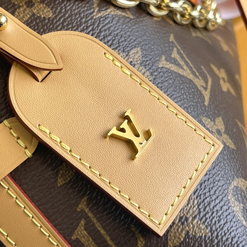 Louis Vuitton CarryAll BB M13014 - DesignerGu