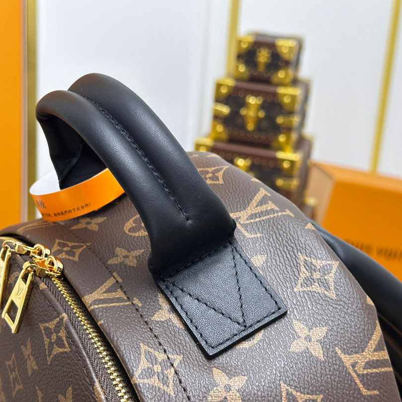 Louis Vuitton Palm Springs MM Palm Springs MM - DesignerGu