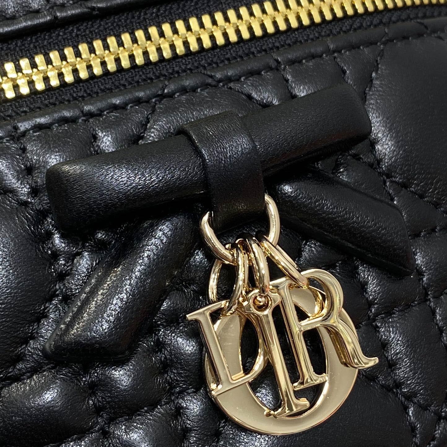 Dior Mini Vanity Bag - DesignerGu